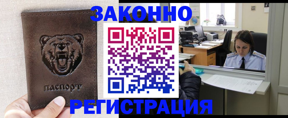 прописка 2025 в Кольчугино