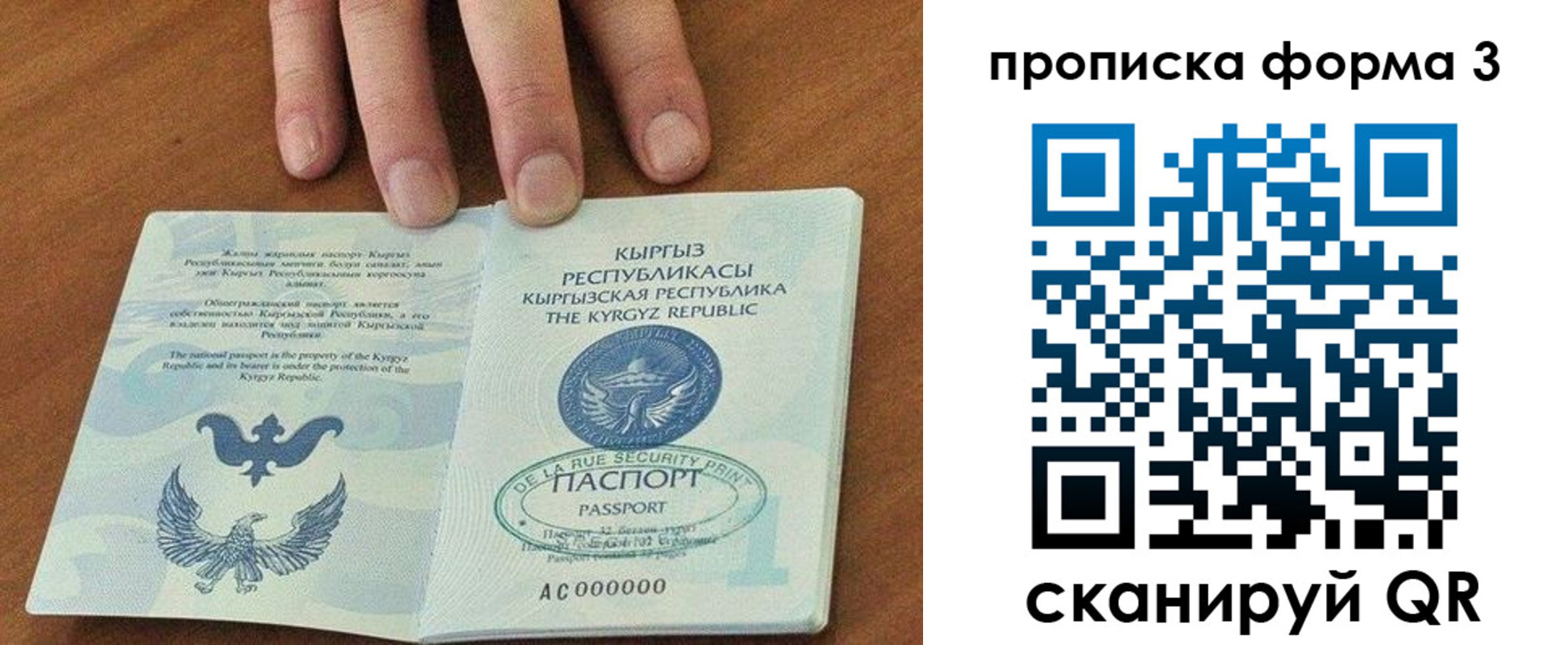 прописка 2025 в Кольчугино