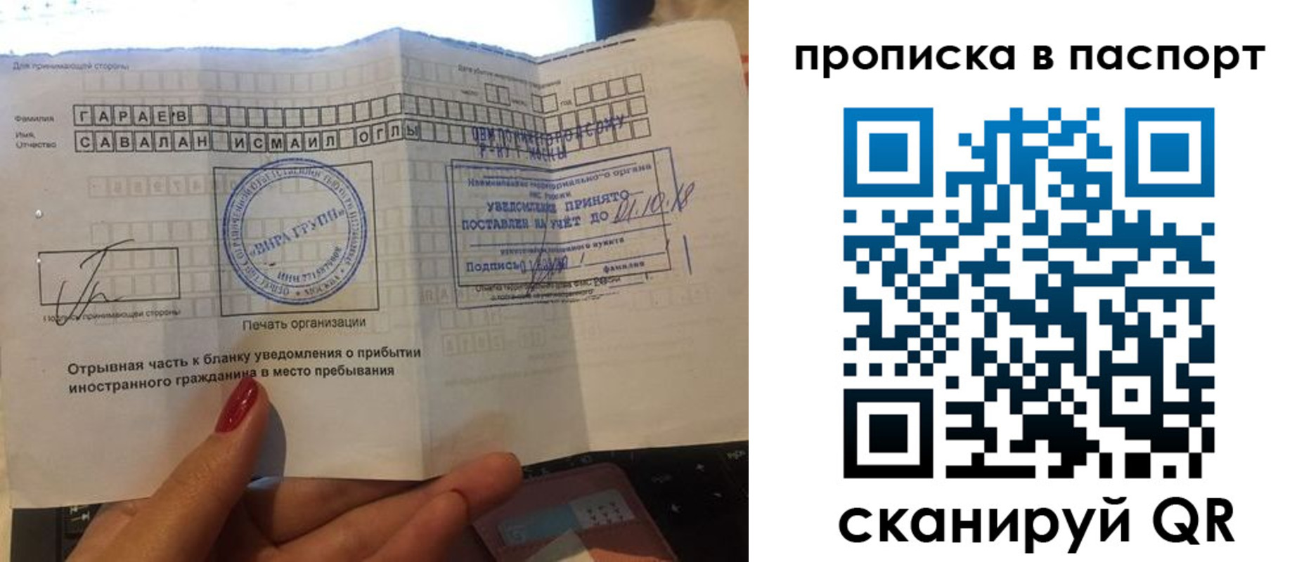 прописка в Кольчугино