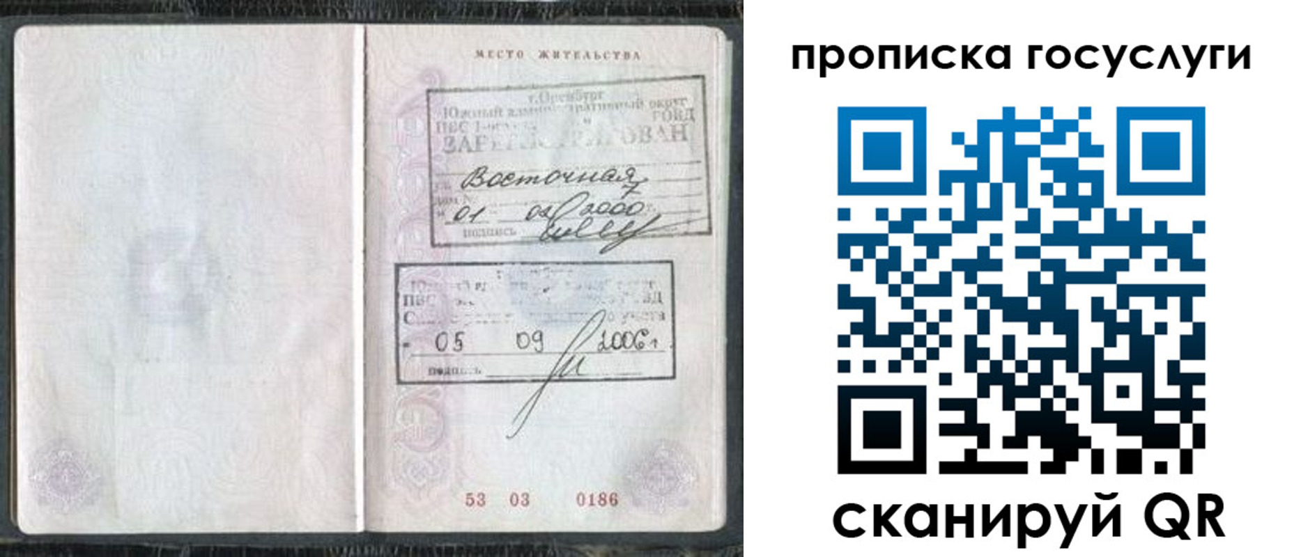 регистрация для школы в Кольчугино